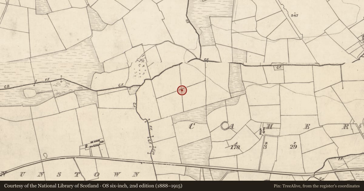 Ordnance Survey six-inch map, 2nd edition (1888–1915) covering the location of Fulacht fia, Caher, County Kerry, with a pin at the register's coordinates