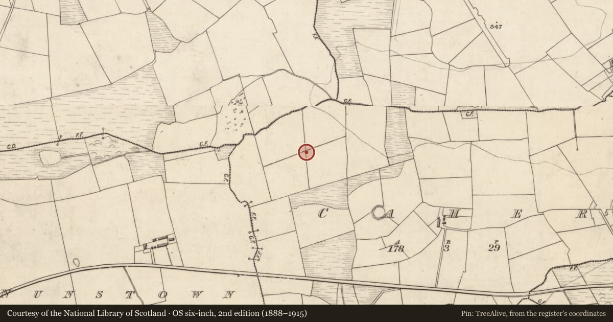 Ordnance Survey six-inch map, 2nd edition (1888–1915) covering the location of Fulacht fia, Caher, County Kerry, with a pin at the register's coordinates