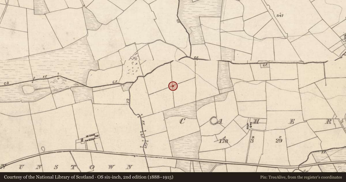 Ordnance Survey six-inch map, 2nd edition (1888–1915) covering the location of Fulacht fia, Caher, County Kerry, with a pin at the register's coordinates