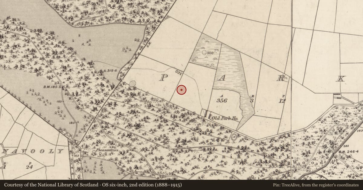Ordnance Survey six-inch map, 2nd edition (1888–1915) covering the location of Enclosure, Park, County Kerry, with a pin at the register's coordinates