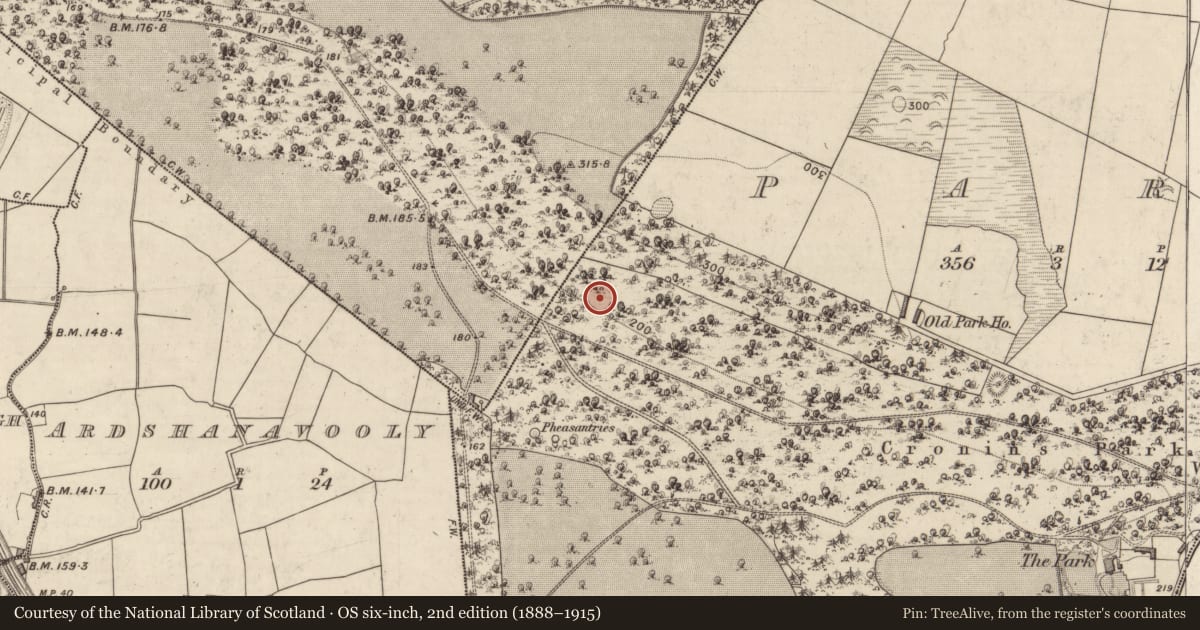 Ordnance Survey six-inch map, 2nd edition (1888–1915) covering the location of Fulacht fia, Park, County Kerry, with a pin at the register's coordinates