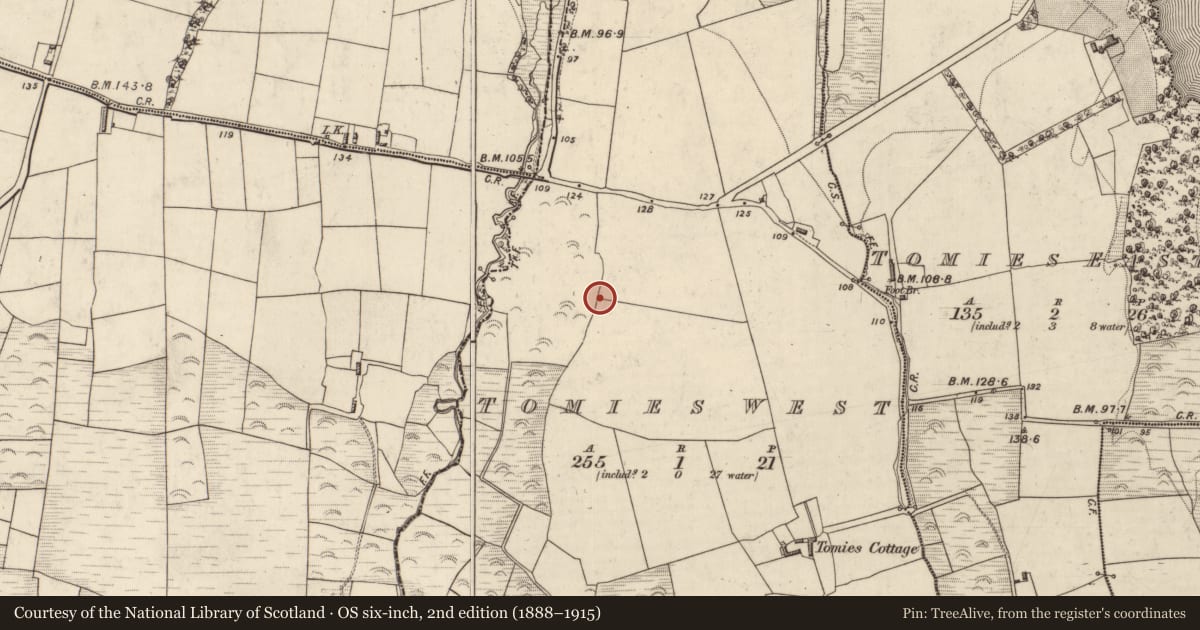 Ordnance Survey six-inch map, 2nd edition (1888–1915) covering the location of Standing stone (present location), Tomies West, County Kerry, with a pin at the register's coordinates