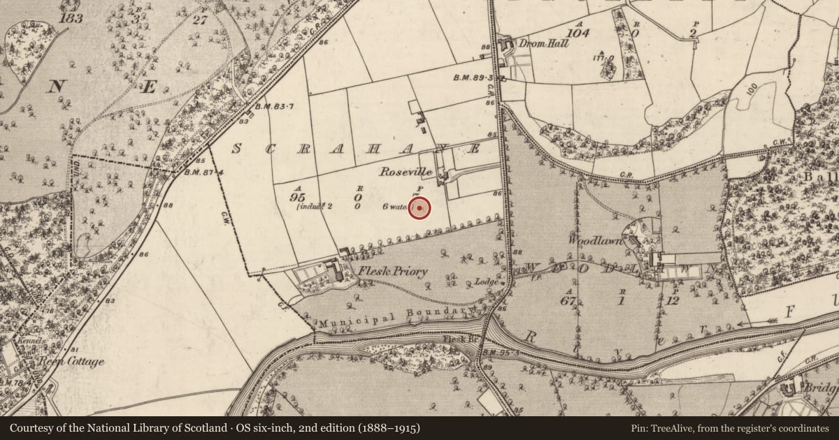 Ordnance Survey six-inch map, 2nd edition (1888–1915) covering the location of Excavation - miscellaneous, Scrahane, County Kerry, with a pin at the register's coordinates