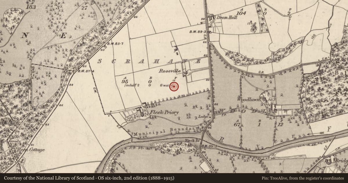 Ordnance Survey six-inch map, 2nd edition (1888–1915) covering the location of Excavation - miscellaneous, Scrahane, County Kerry, with a pin at the register's coordinates