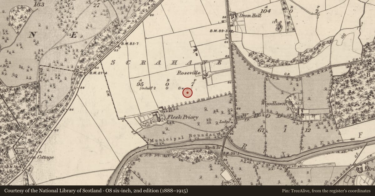 Ordnance Survey six-inch map, 2nd edition (1888–1915) covering the location of Excavation - miscellaneous, Scrahane, County Kerry, with a pin at the register's coordinates