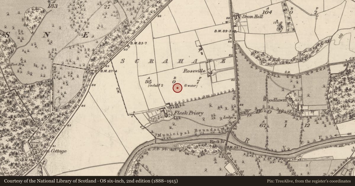 Ordnance Survey six-inch map, 2nd edition (1888–1915) covering the location of Excavation - miscellaneous, Scrahane, County Kerry, with a pin at the register's coordinates