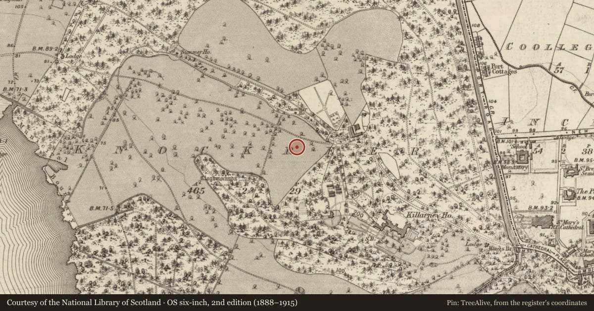 Ordnance Survey six-inch map, 2nd edition (1888–1915) covering the location of Enclosure, Knockreer, County Kerry, with a pin at the register's coordinates