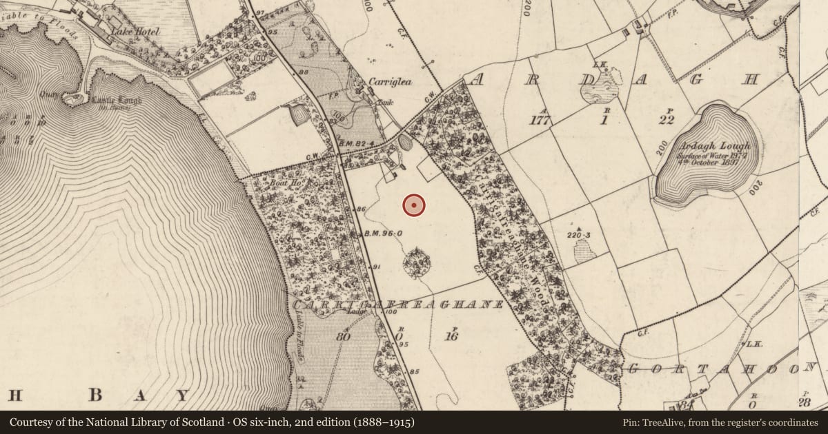 Ordnance Survey six-inch map, 2nd edition (1888–1915) covering the location of Architectural fragment, Carrigafreaghane, County Kerry, with a pin at the register's coordinates