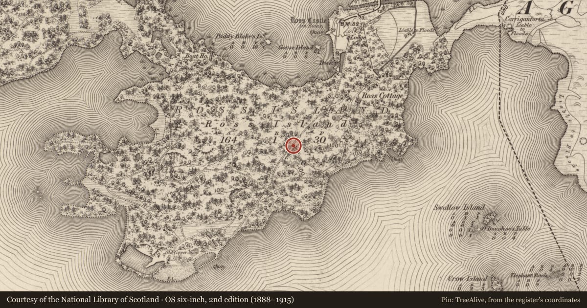 Ordnance Survey six-inch map, 2nd edition (1888–1915) covering the location of Cave, Ross Island, County Kerry, with a pin at the register's coordinates