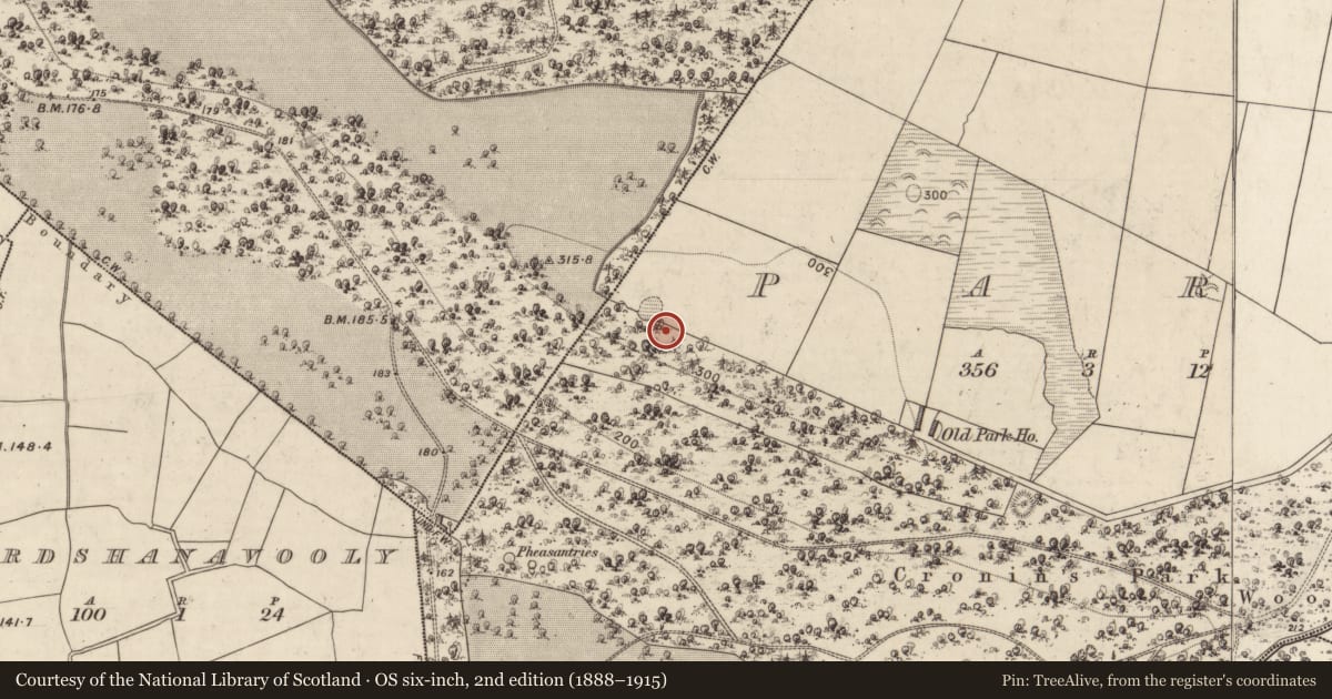 Ordnance Survey six-inch map, 2nd edition (1888–1915) covering the location of Enclosure, Park, County Kerry, with a pin at the register's coordinates