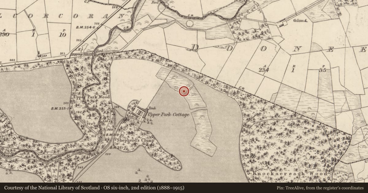 Ordnance Survey six-inch map, 2nd edition (1888–1915) covering the location of Burnt mound, Deerpark, County Kerry, with a pin at the register's coordinates