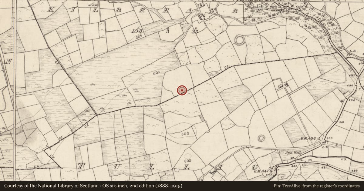 Ordnance Survey six-inch map, 2nd edition (1888–1915) covering the location of Ringfort - rath, Kilbreanbeg, County Kerry, with a pin at the register's coordinates
