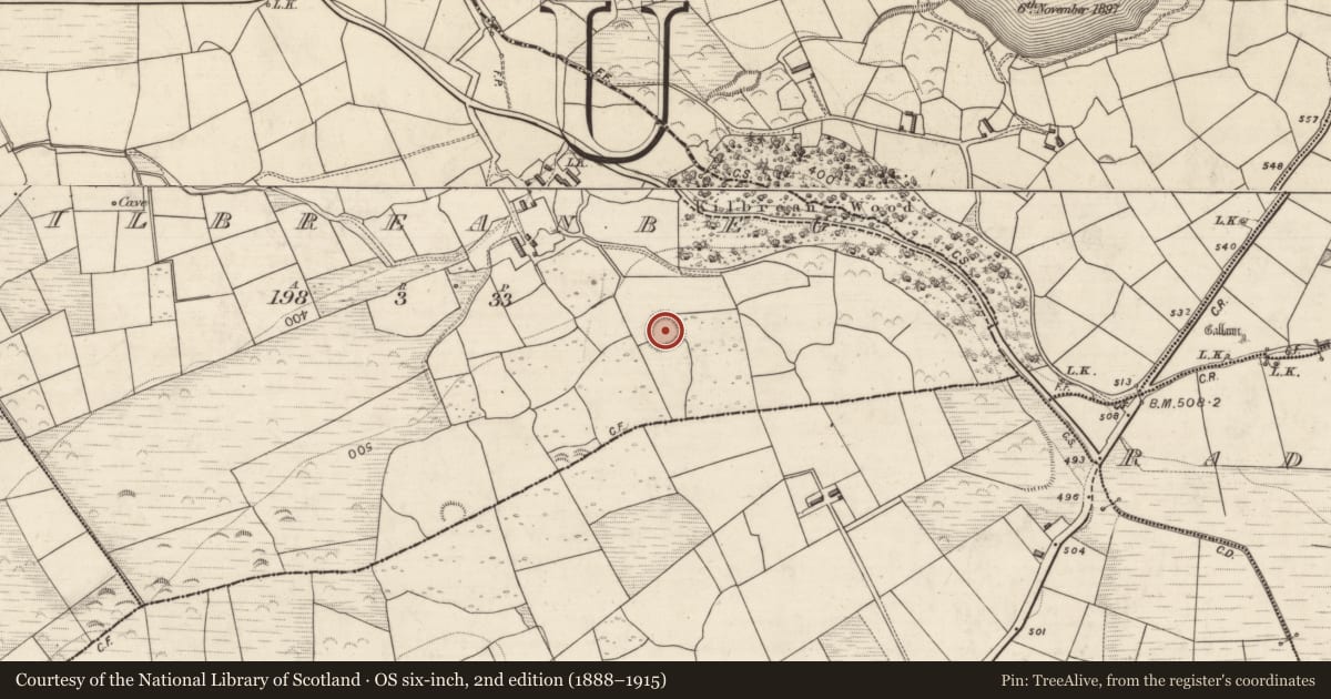Ordnance Survey six-inch map, 2nd edition (1888–1915) covering the location of Ringfort - rath, Kilbreanbeg, County Kerry, with a pin at the register's coordinates