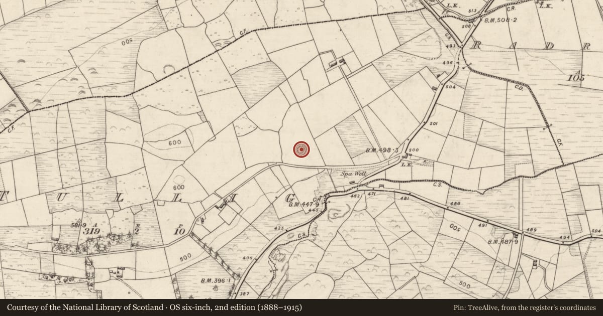 Ordnance Survey six-inch map, 2nd edition (1888–1915) covering the location of Ringfort - rath, Tullig, County Kerry, with a pin at the register's coordinates