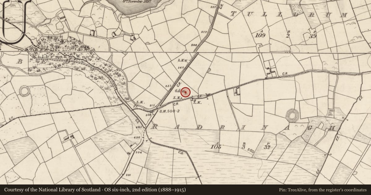 Ordnance Survey six-inch map, 2nd edition (1888–1915) covering the location of Standing stone, Tullorum, County Kerry, with a pin at the register's coordinates