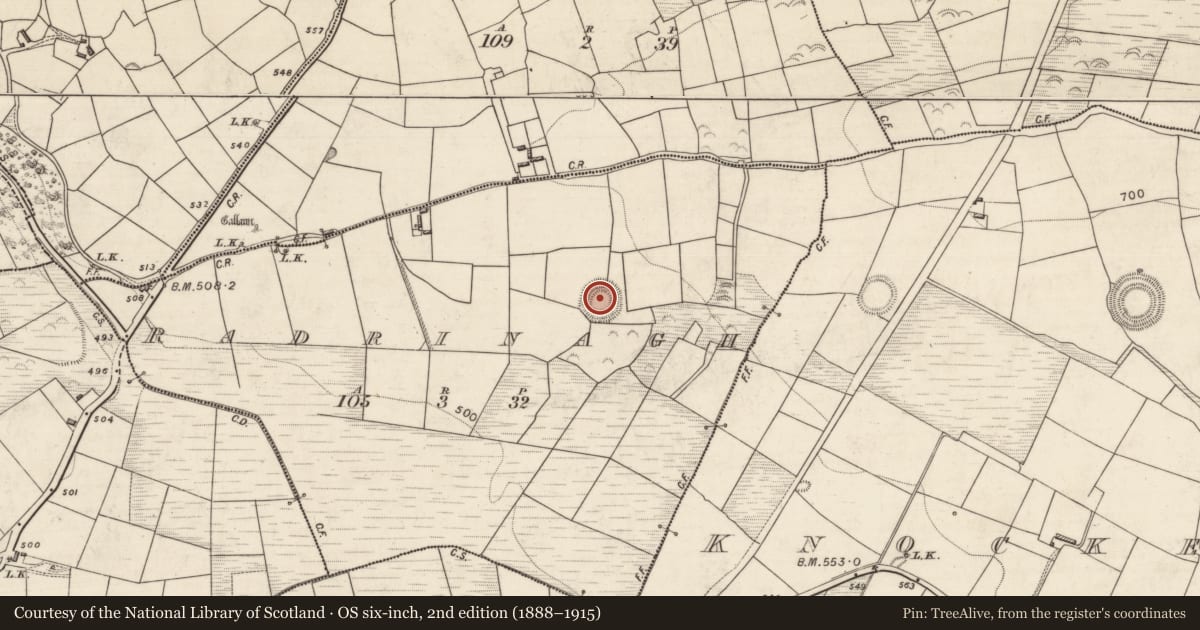 Ordnance Survey six-inch map, 2nd edition (1888–1915) covering the location of Hut site, Radrinagh, County Kerry, with a pin at the register's coordinates