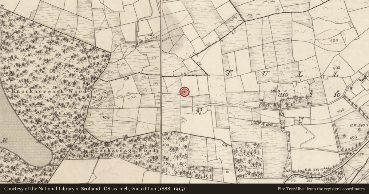 Ordnance Survey six-inch map, 2nd edition (1888–1915) covering the location of Ringfort - rath, Tullig, County Kerry, with a pin at the register's coordinates