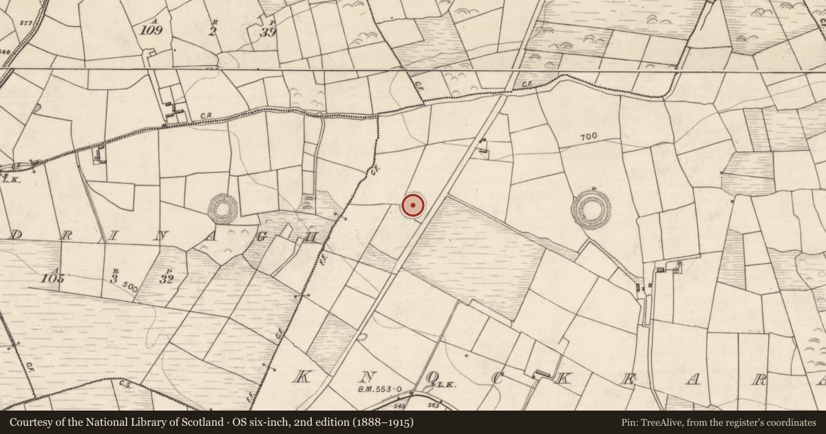 Ordnance Survey six-inch map, 2nd edition (1888–1915) covering the location of Ringfort - rath, Knockearagh, County Kerry, with a pin at the register's coordinates