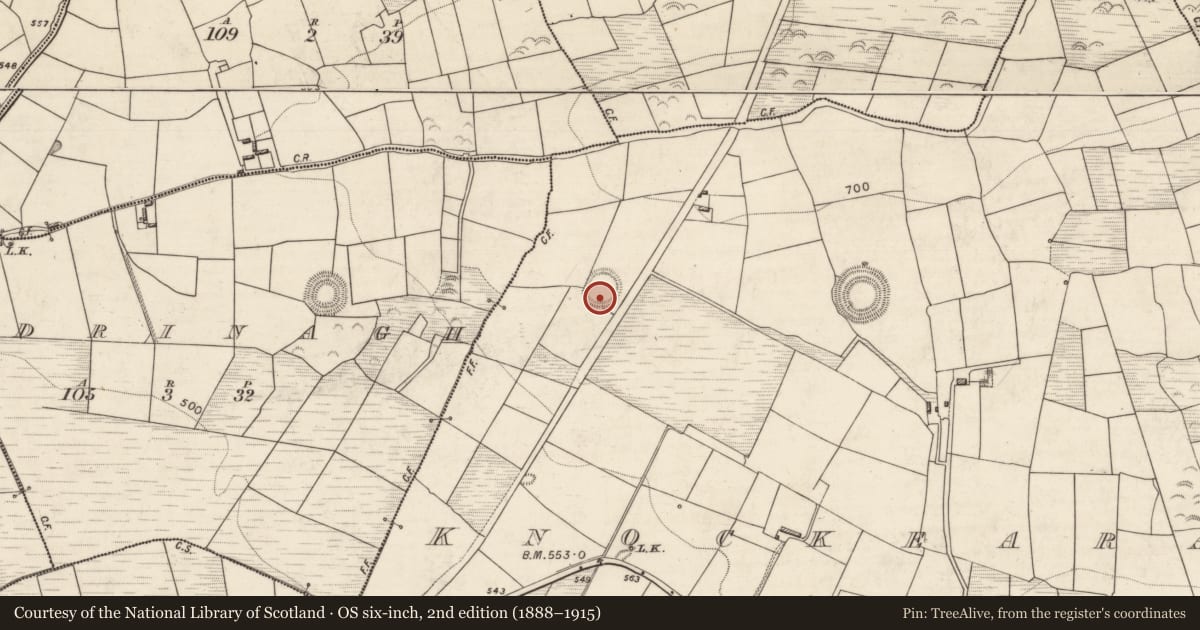 Ordnance Survey six-inch map, 2nd edition (1888–1915) covering the location of Hut site, Knockearagh, County Kerry, with a pin at the register's coordinates
