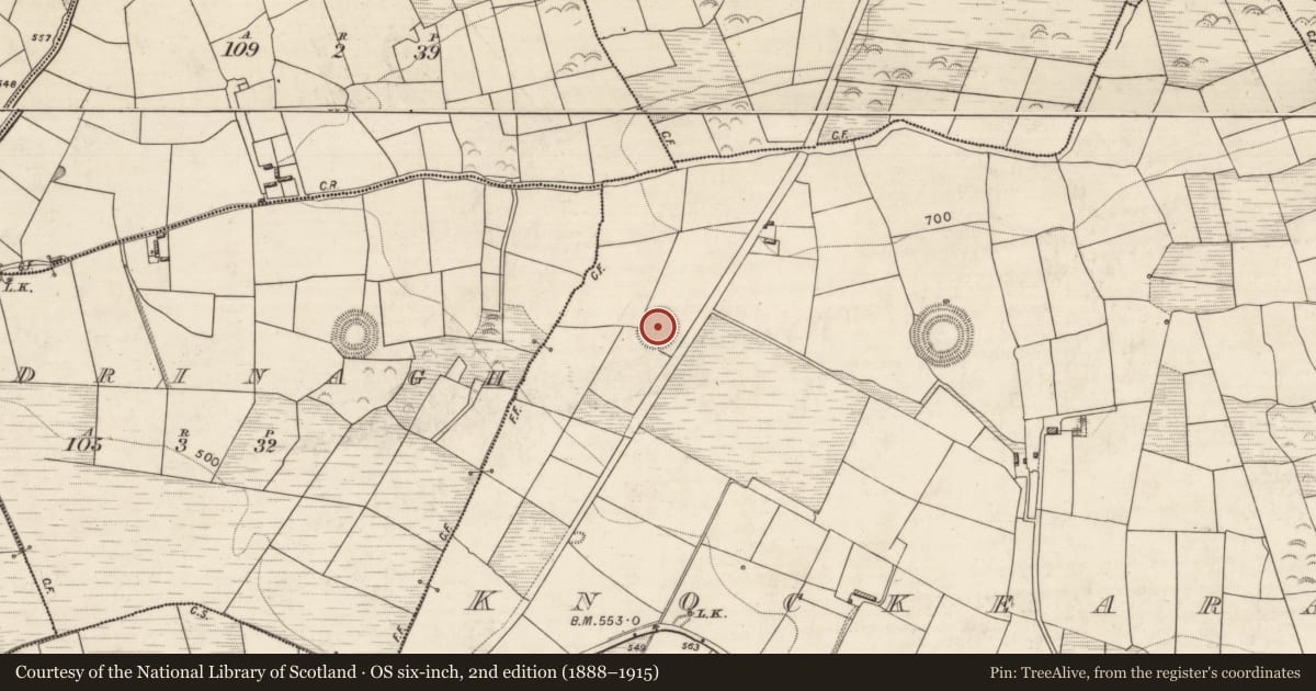 Ordnance Survey six-inch map, 2nd edition (1888–1915) covering the location of Souterrain, Knockearagh, County Kerry, with a pin at the register's coordinates