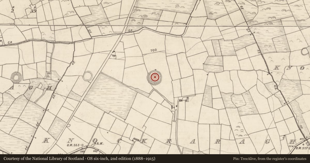 Ordnance Survey six-inch map, 2nd edition (1888–1915) covering the location of Ringfort - rath, Knockearagh, County Kerry, with a pin at the register's coordinates