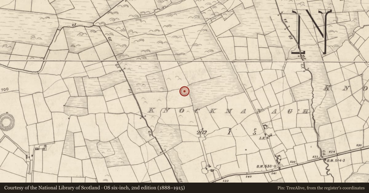 Ordnance Survey six-inch map, 2nd edition (1888–1915) covering the location of Souterrain, Knockmanagh, County Kerry, with a pin at the register's coordinates