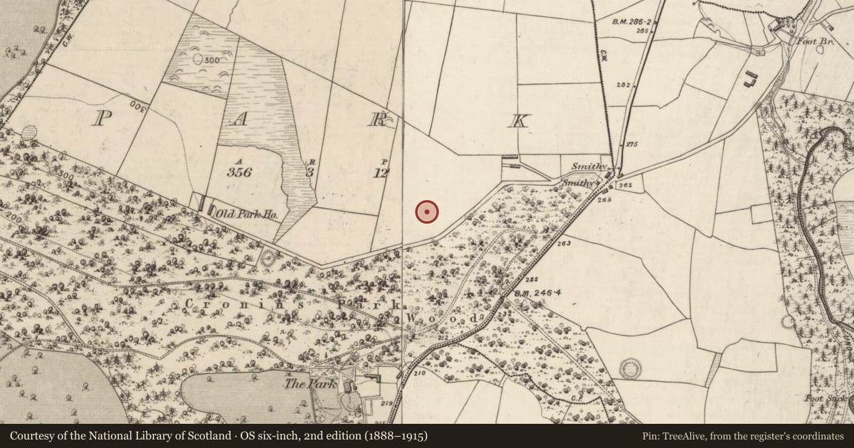 Ordnance Survey six-inch map, 2nd edition (1888–1915) covering the location of Enclosure, Park, County Kerry, with a pin at the register's coordinates