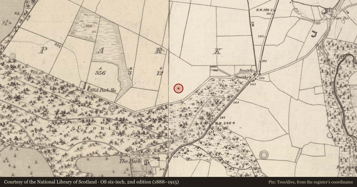 Ordnance Survey six-inch map, 2nd edition (1888–1915) covering the location of Standing stone, Park, County Kerry, with a pin at the register's coordinates