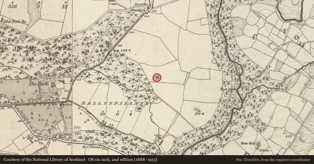 Ordnance Survey six-inch map, 2nd edition (1888–1915) covering the location of Ringfort - rath, Teernaboul, County Kerry, with a pin at the register's coordinates