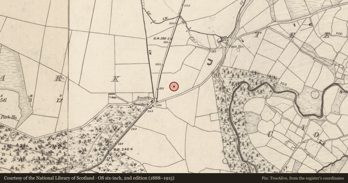 Ordnance Survey six-inch map, 2nd edition (1888–1915) covering the location of Enclosure, Teernaboul, County Kerry, with a pin at the register's coordinates