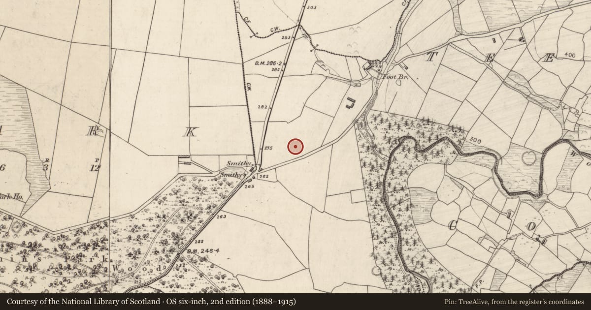 Ordnance Survey six-inch map, 2nd edition (1888–1915) covering the location of Souterrain, Teernaboul, County Kerry, with a pin at the register's coordinates