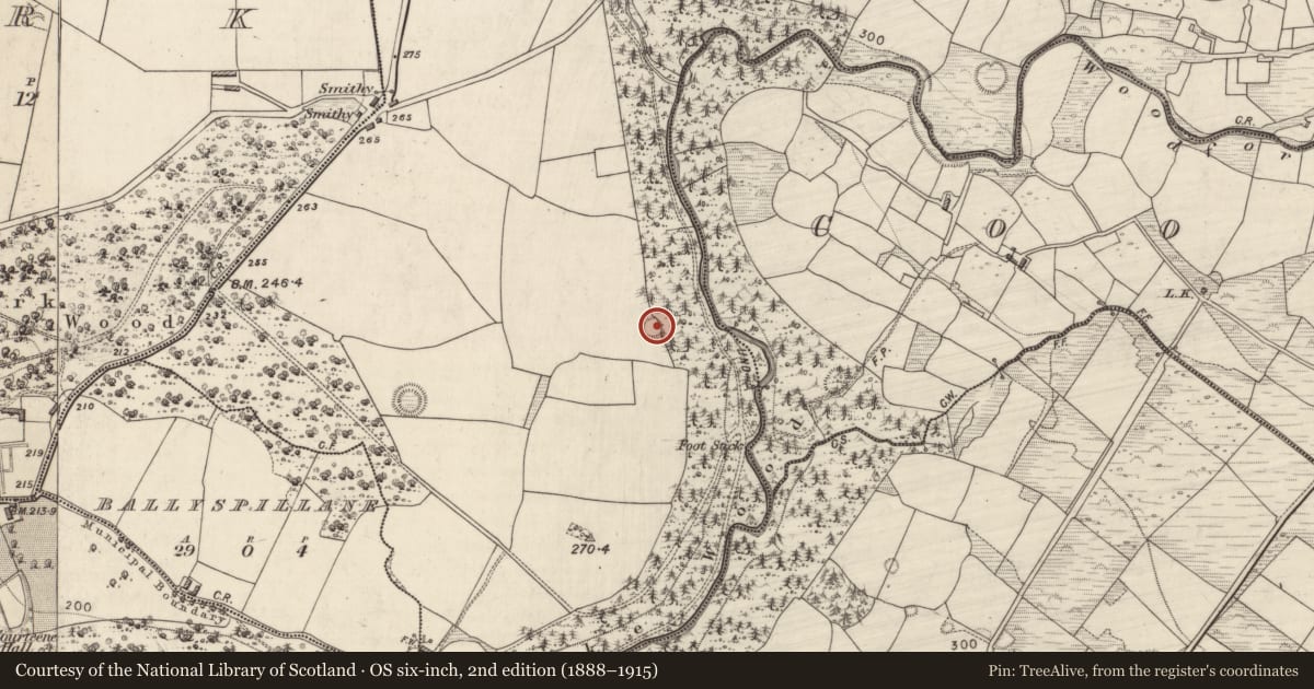 Ordnance Survey six-inch map, 2nd edition (1888–1915) covering the location of Ringfort - rath, Teernaboul, County Kerry, with a pin at the register's coordinates