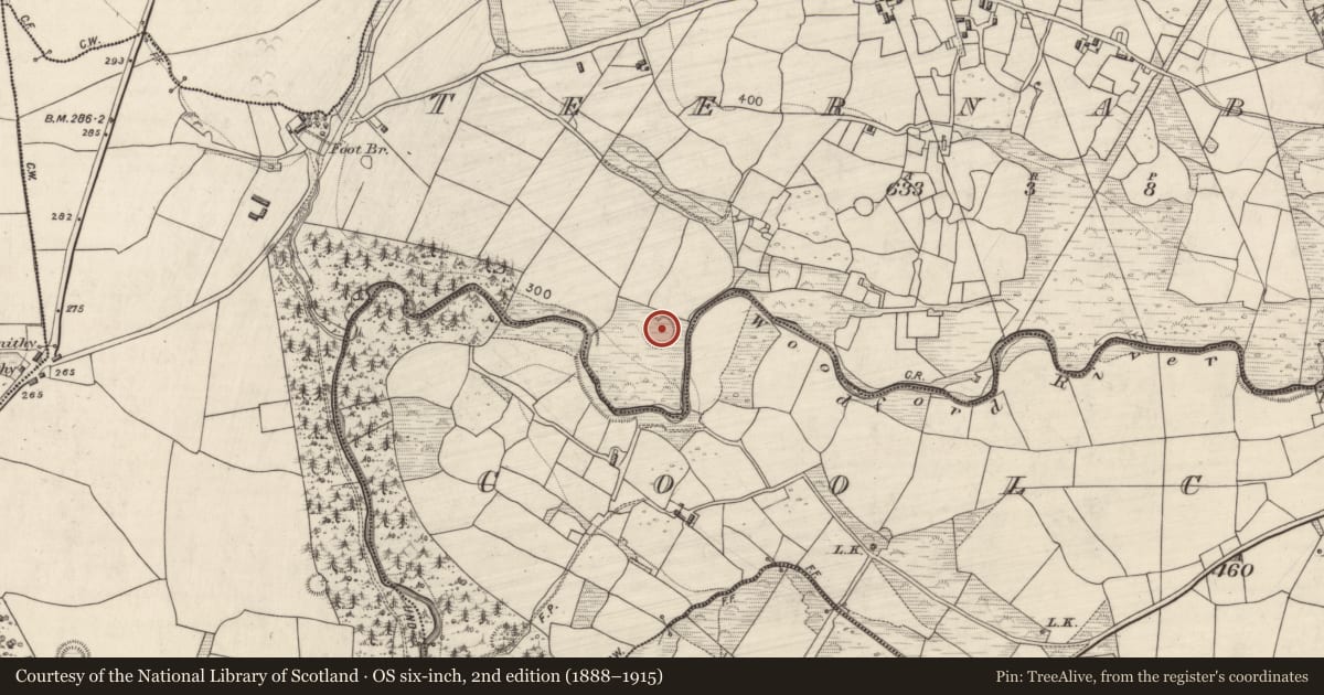 Ordnance Survey six-inch map, 2nd edition (1888–1915) covering the location of Ringfort - rath, Teernaboul, County Kerry, with a pin at the register's coordinates