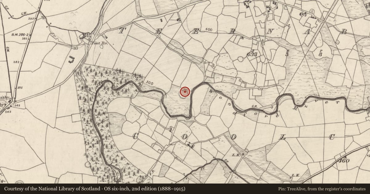 Ordnance Survey six-inch map, 2nd edition (1888–1915) covering the location of Hut site, Teernaboul, County Kerry, with a pin at the register's coordinates