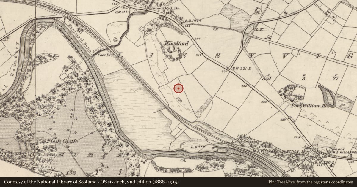 Ordnance Survey six-inch map, 2nd edition (1888–1915) covering the location of Ringfort - rath, Lissyviggeen, County Kerry, with a pin at the register's coordinates