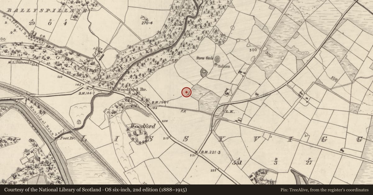 Ordnance Survey six-inch map, 2nd edition (1888–1915) covering the location of Ringfort - rath, Lissyviggeen, County Kerry, with a pin at the register's coordinates
