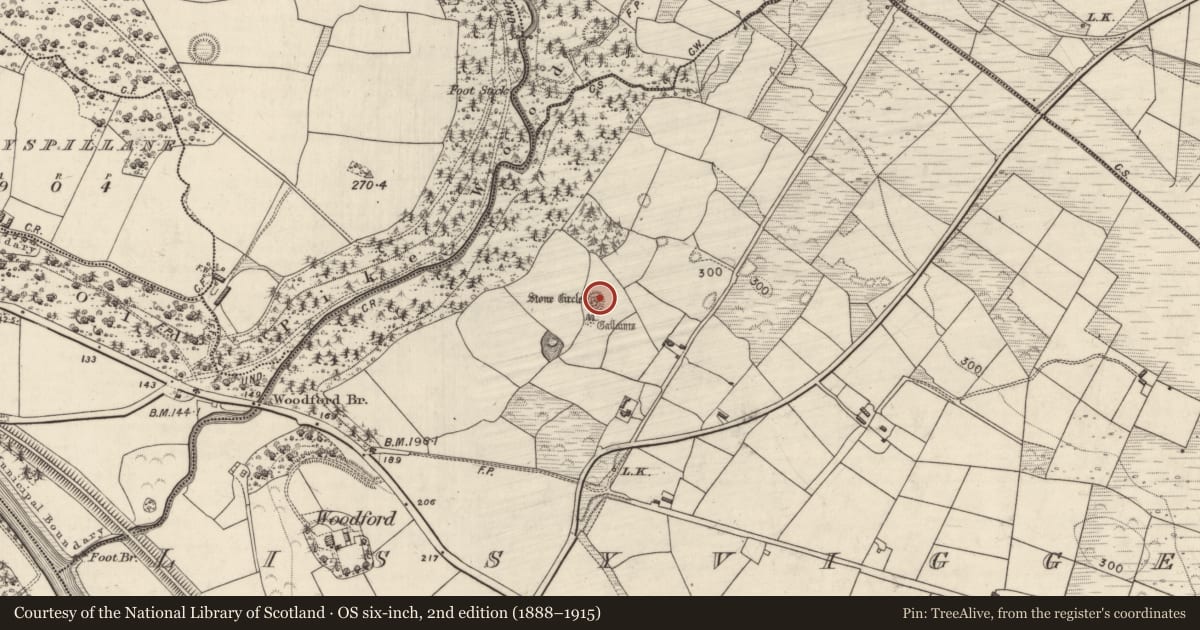 Ordnance Survey six-inch map, 2nd edition (1888–1915) covering the location of Enclosure, Lissyviggeen, County Kerry, with a pin at the register's coordinates