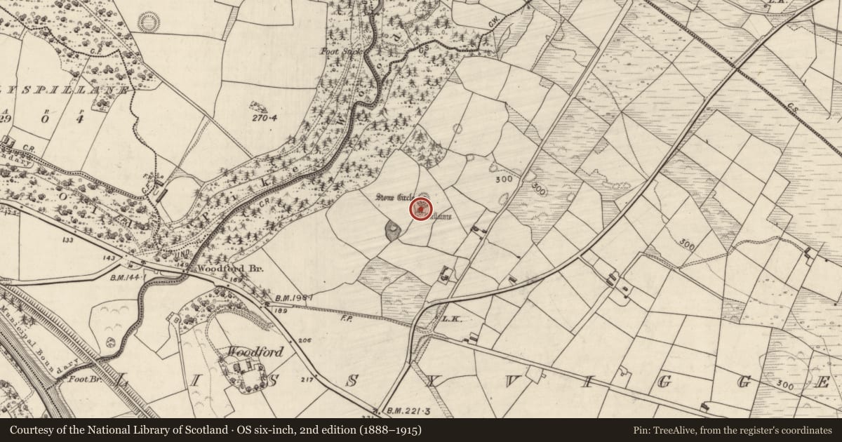 Ordnance Survey six-inch map, 2nd edition (1888–1915) covering the location of Rock scribing, Lissyviggeen, County Kerry, with a pin at the register's coordinates