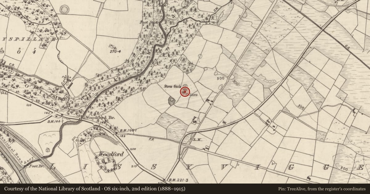 Ordnance Survey six-inch map, 2nd edition (1888–1915) covering the location of Standing stone - pair, Lissyviggeen, County Kerry, with a pin at the register's coordinates