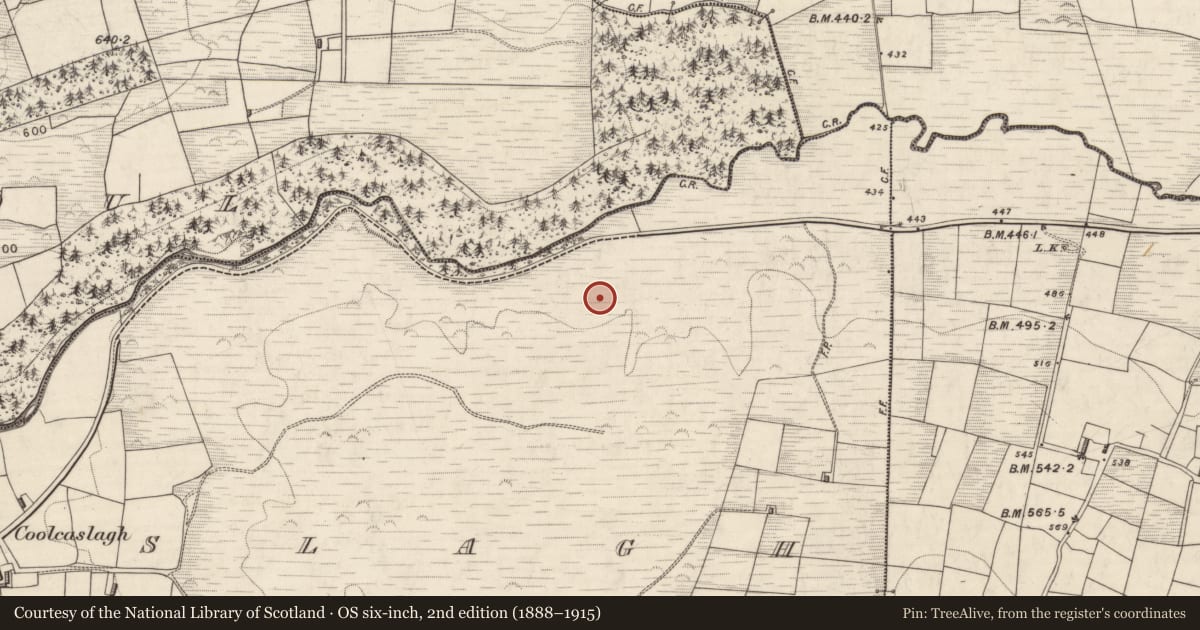 Ordnance Survey six-inch map, 2nd edition (1888–1915) covering the location of Enclosure, Coolcaslagh, County Kerry, with a pin at the register's coordinates