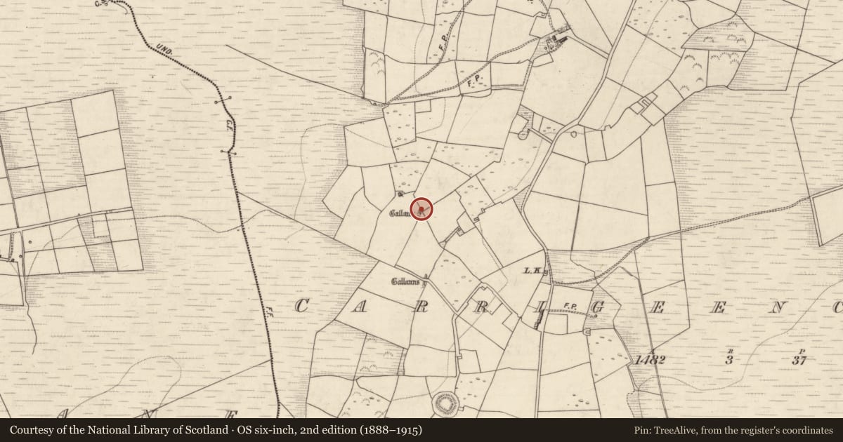 Ordnance Survey six-inch map, 2nd edition (1888–1915) covering the location of Standing stone, Carrigeencullia, County Kerry, with a pin at the register's coordinates
