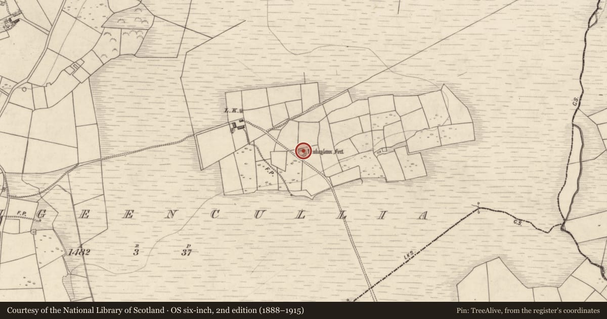 Ordnance Survey six-inch map, 2nd edition (1888–1915) covering the location of Ringfort - rath, Carrigeencullia, County Kerry, with a pin at the register's coordinates