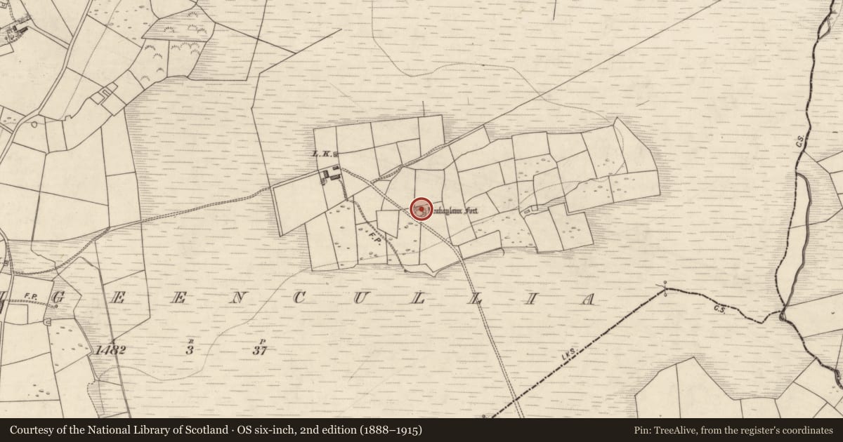 Ordnance Survey six-inch map, 2nd edition (1888–1915) covering the location of Souterrain, Carrigeencullia, County Kerry, with a pin at the register's coordinates