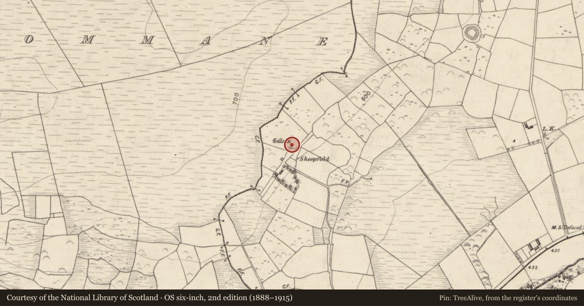 Ordnance Survey six-inch map, 2nd edition (1888–1915) covering the location of Standing stone, Carrigeencullia, County Kerry, with a pin at the register's coordinates