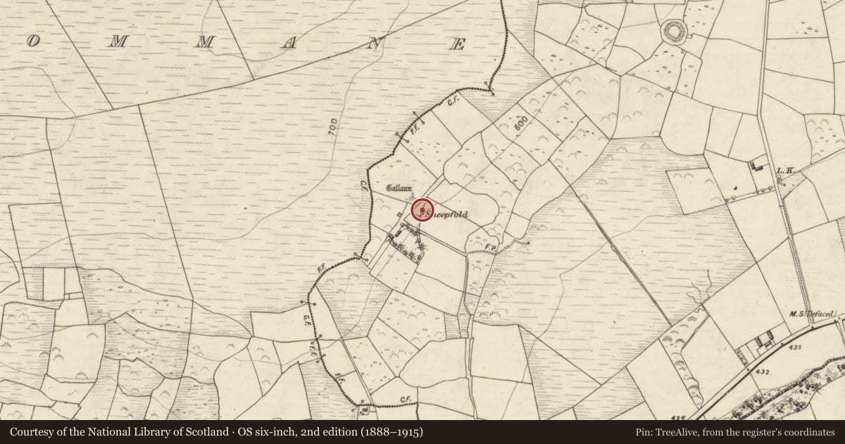 Ordnance Survey six-inch map, 2nd edition (1888–1915) covering the location of Enclosure, Carrigeencullia, County Kerry, with a pin at the register's coordinates
