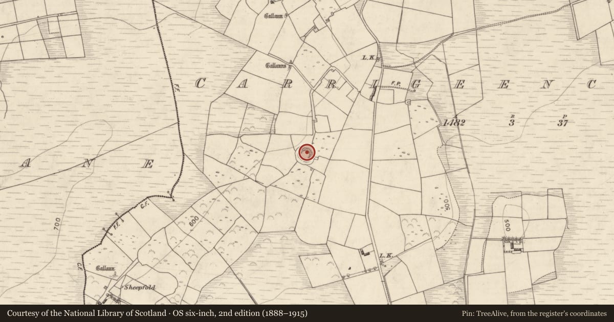 Ordnance Survey six-inch map, 2nd edition (1888–1915) covering the location of Ringfort - rath, Carrigeencullia, County Kerry, with a pin at the register's coordinates