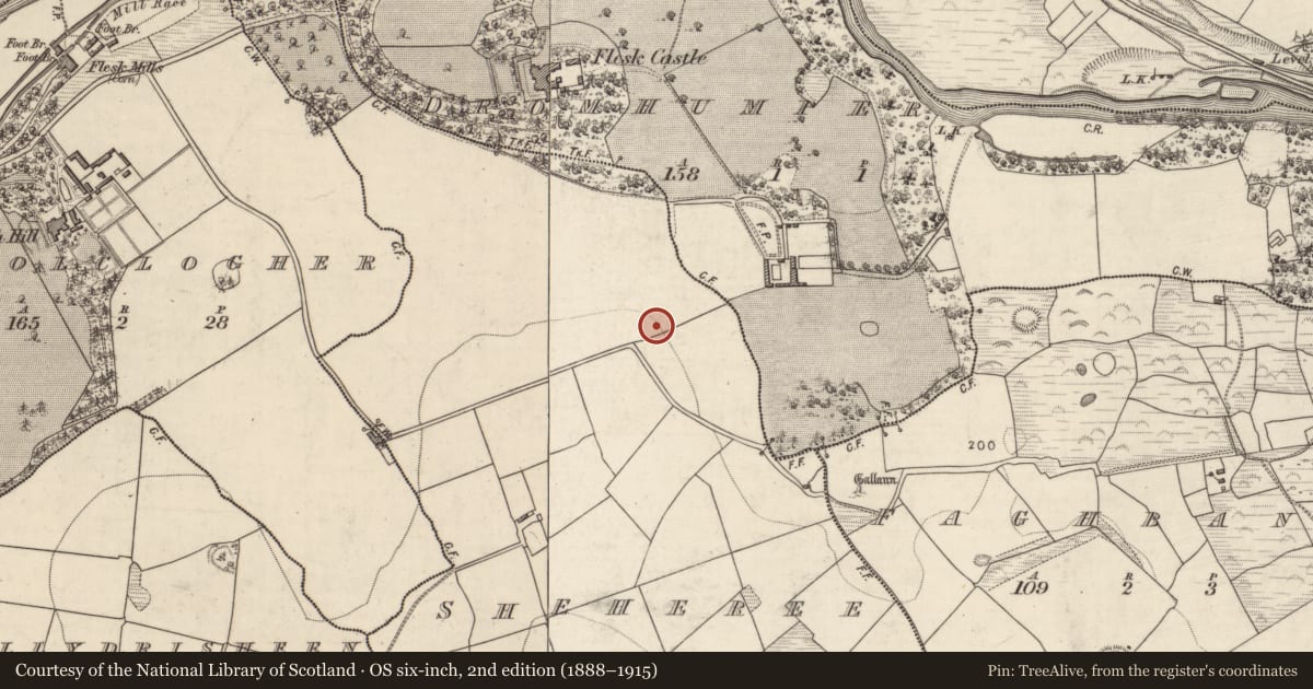 Ordnance Survey six-inch map, 2nd edition (1888–1915) covering the location of Enclosure, Sheheree, County Kerry, with a pin at the register's coordinates