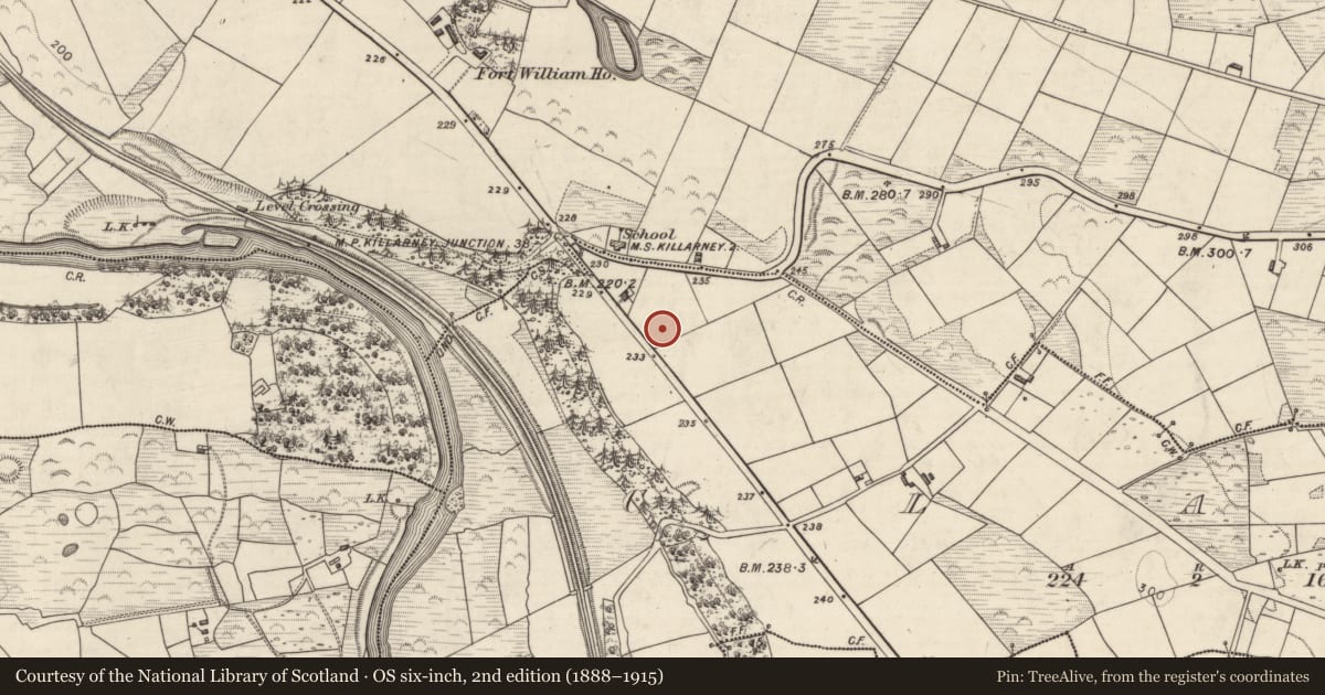 Ordnance Survey six-inch map, 2nd edition (1888–1915) covering the location of Standing stone - pair, Clash, County Kerry, with a pin at the register's coordinates