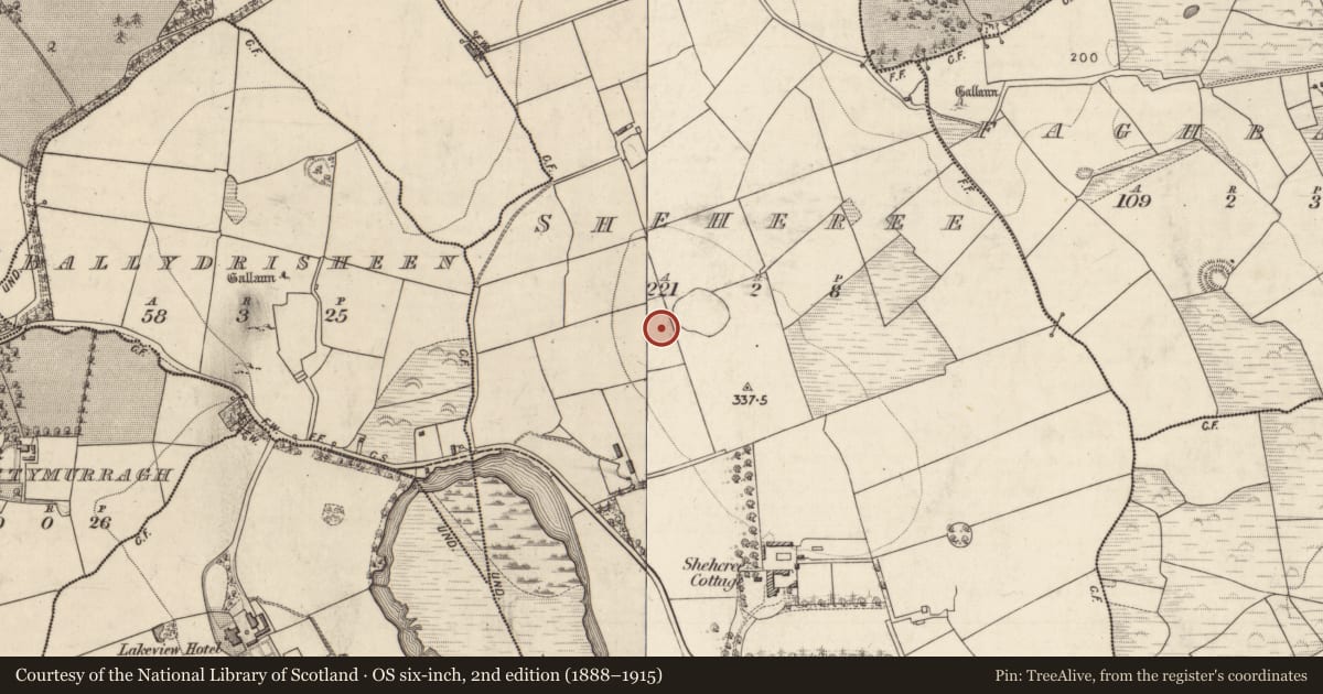 Ordnance Survey six-inch map, 2nd edition (1888–1915) covering the location of Ringfort - rath, Sheheree, County Kerry, with a pin at the register's coordinates