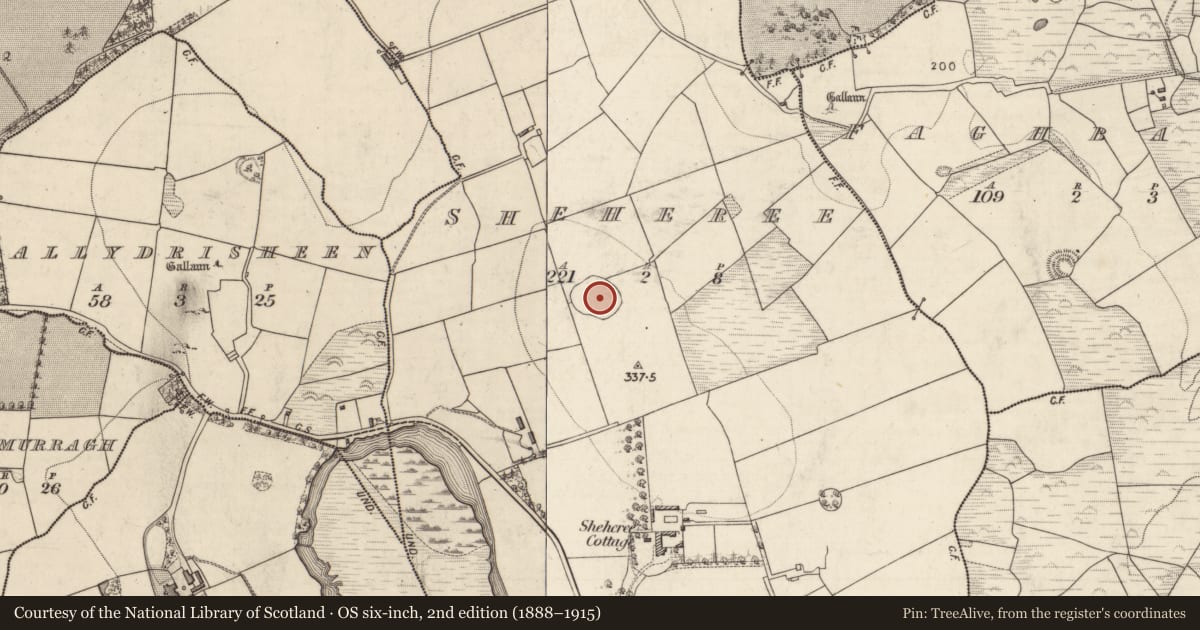 Ordnance Survey six-inch map, 2nd edition (1888–1915) covering the location of Ringfort - rath, Sheheree, County Kerry, with a pin at the register's coordinates